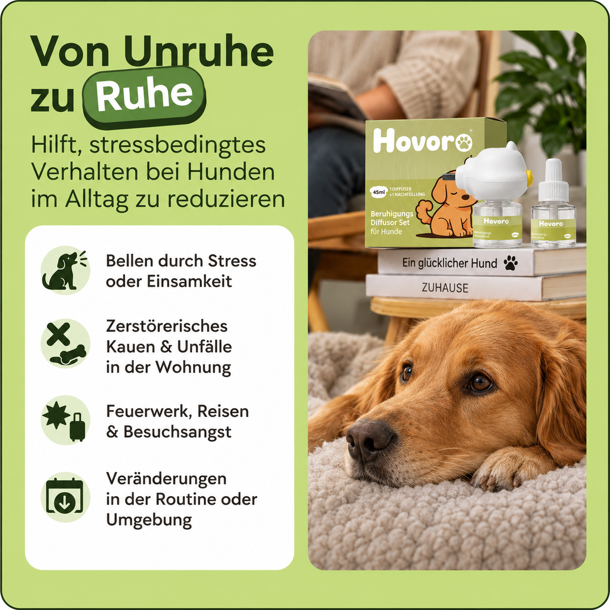 Hovoro Diffusor in der Steckdose im Wohnraum