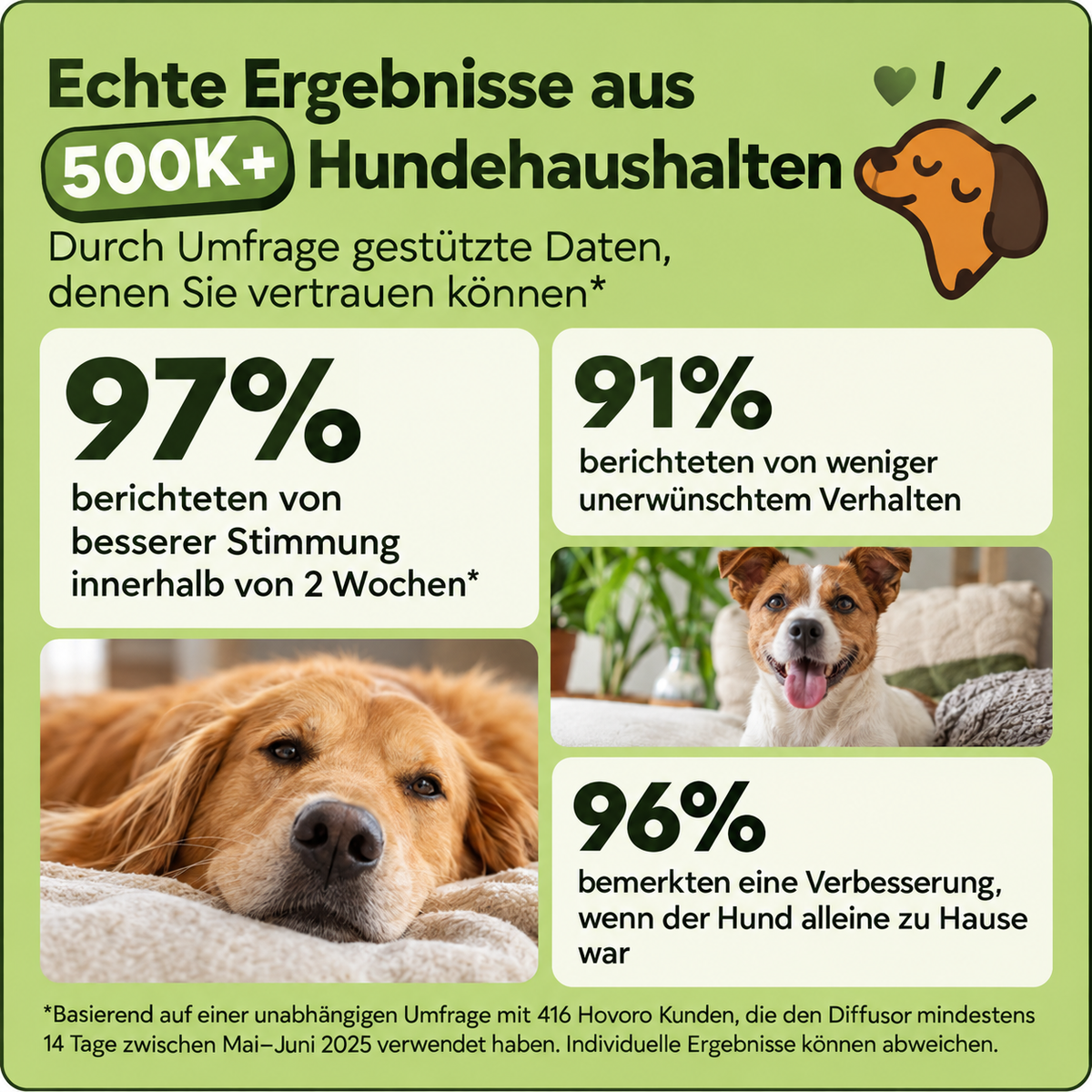 Hovoro Nachfüller wird in den Diffusor eingesetzt