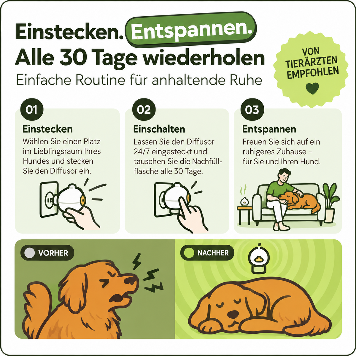 Hund wird ruhiger – weniger Bellen und Jaulen beim Alleinsein
