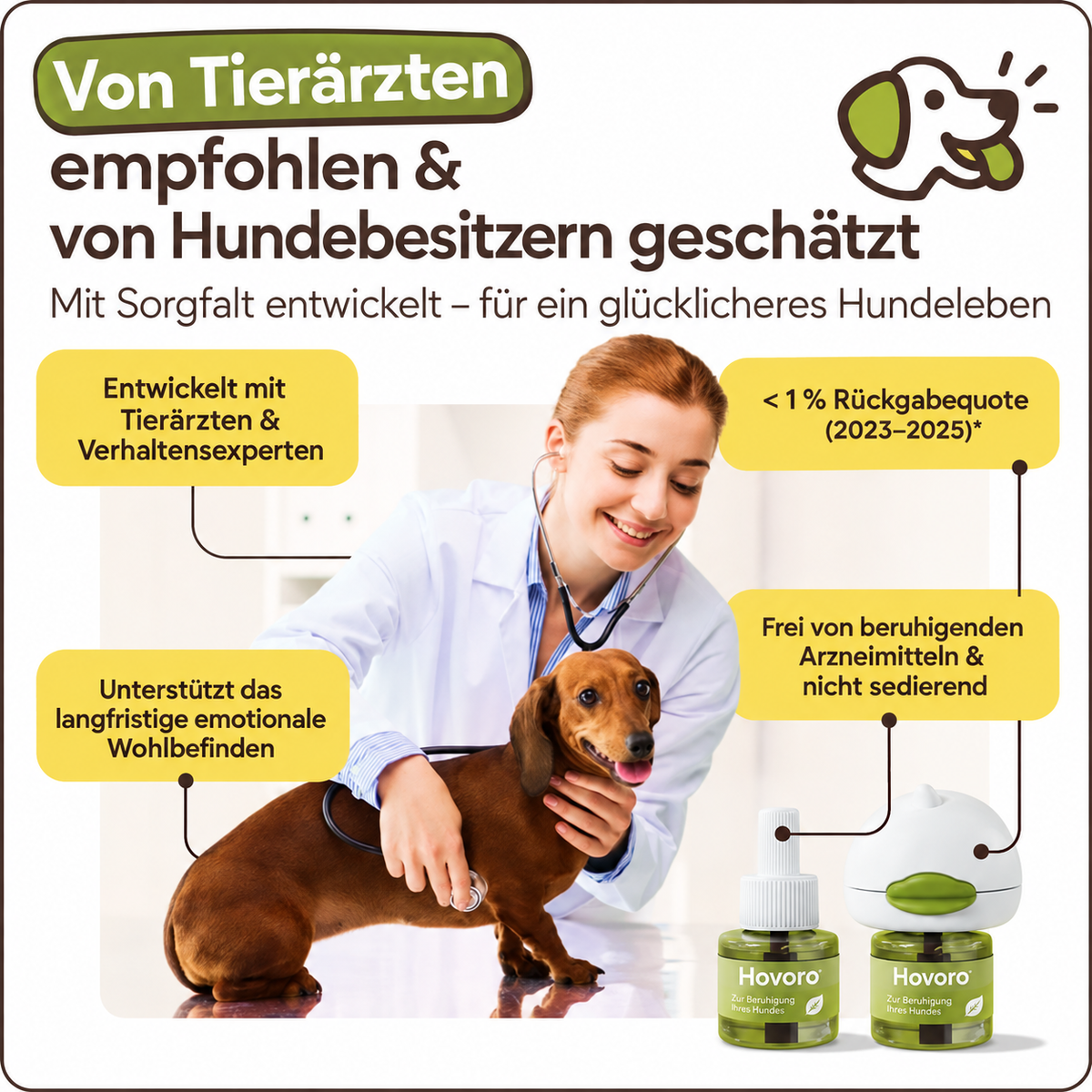Hund gewinnt Sicherheit und bleibt entspannt allein
