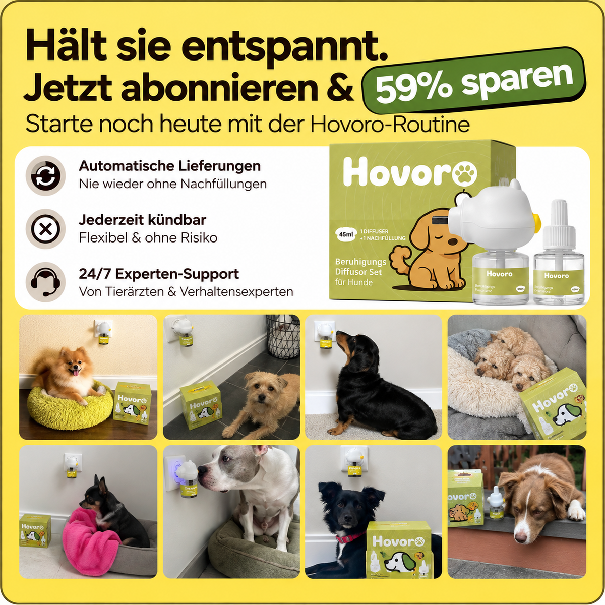 Ausgeglichener Hund im Alltag nach mehreren Monaten Anwendung